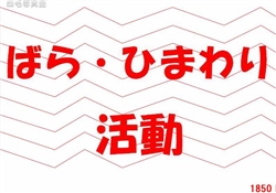 13.ばら・ひまわり活動
