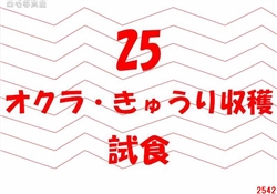 25.オクラ・きゅうり収穫・試食
