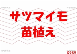 広34-2026.1月写真販売1-3528-06